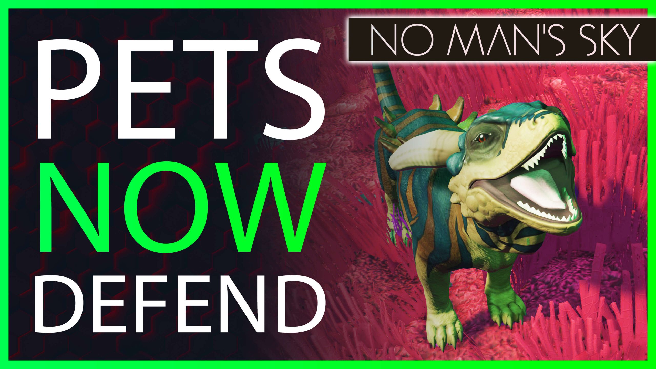 pets now defend us in No man's sky 2021